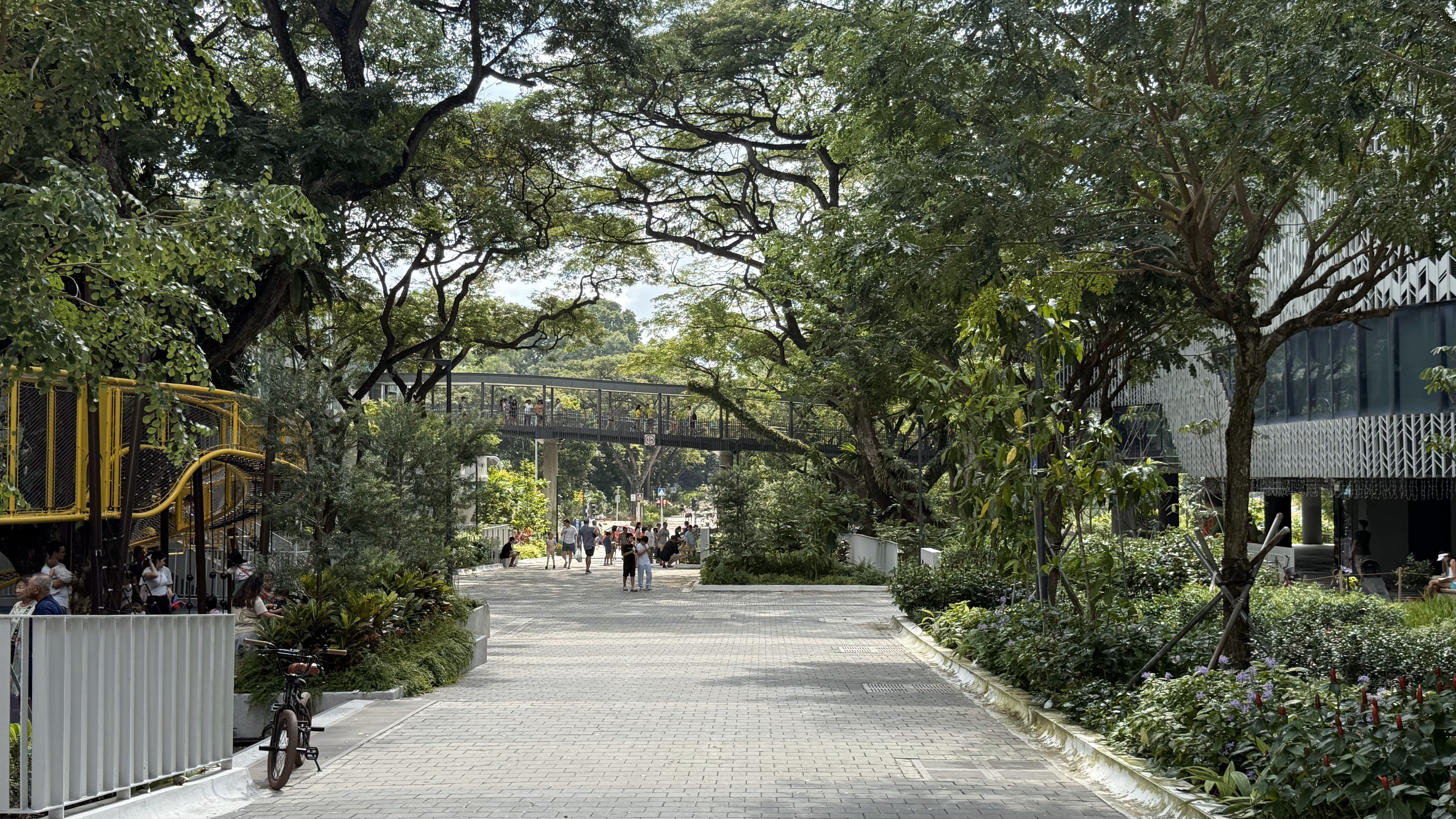 Path through a park with lush trees and a pedestrian bridge. People walking and playing.